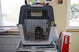 CAGE - BOX 027